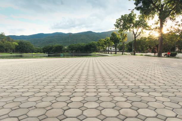 Best Custom Driveway Pavers  in Salyersville, KY